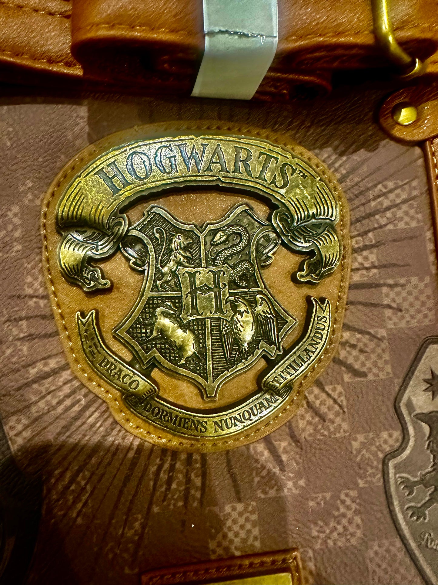 Harry Potter Pride-Laptop Computer Bag